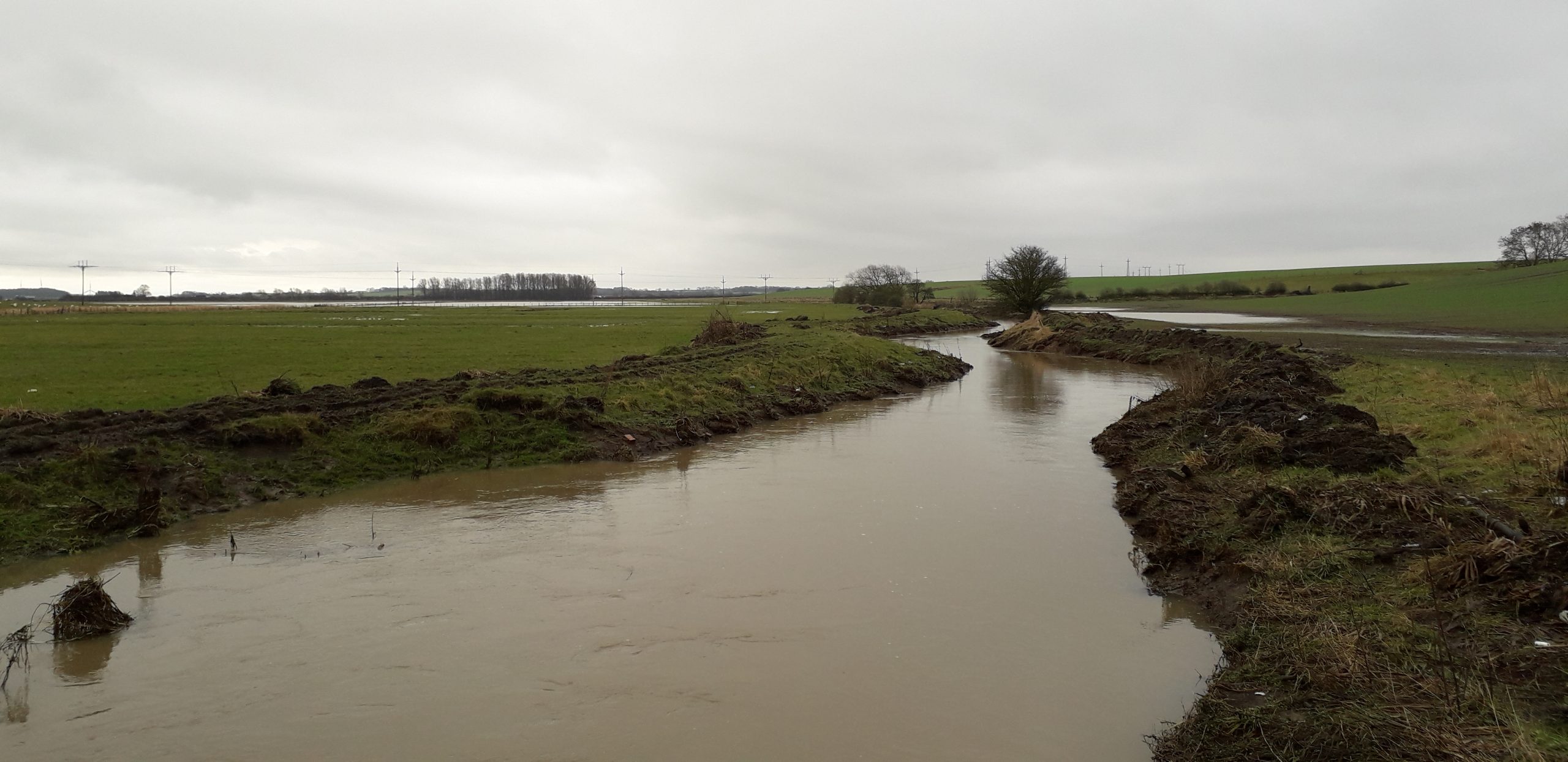 Woodham Fen near Newton Aycliffe River Skerne Project
